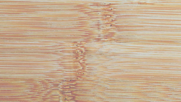 Exotic flooring project 3